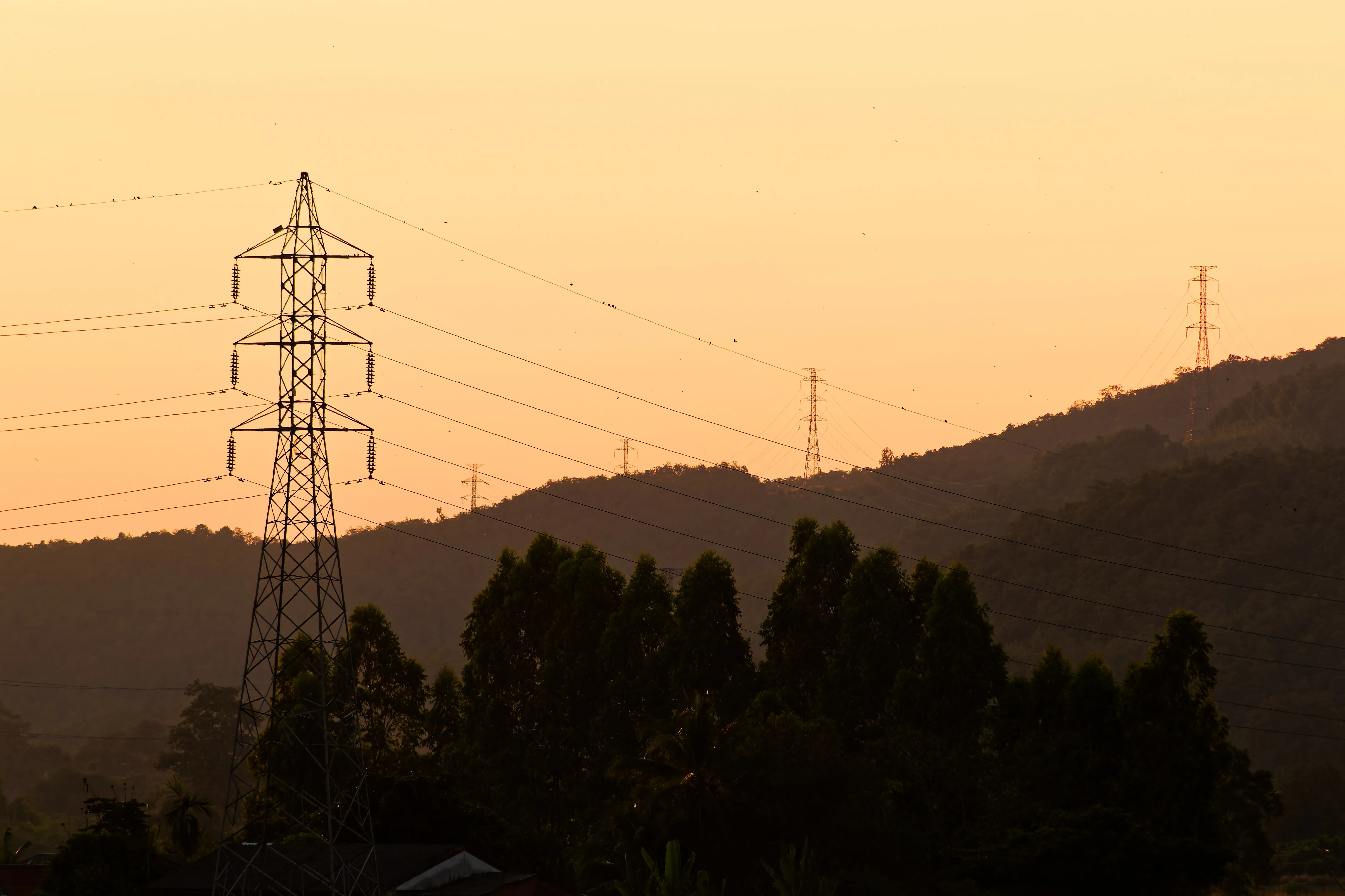 High-voltage transmission lines crossing forested hills at sunset