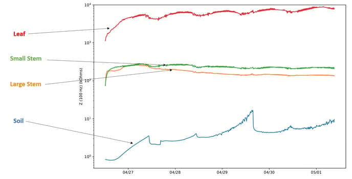 Anatomical Differences