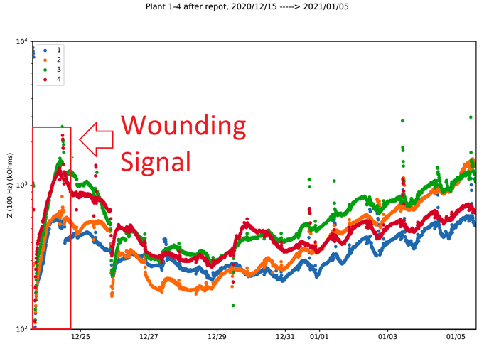 Wounding signal example
